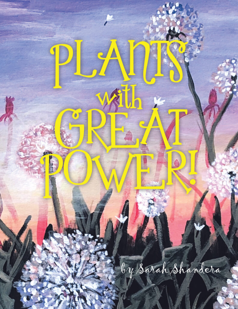 Plants with Great Power! Wild Bunch